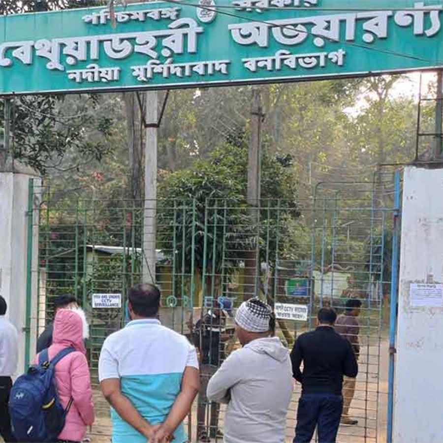 বেথুয়াডহরী অভয়ারণ্য।