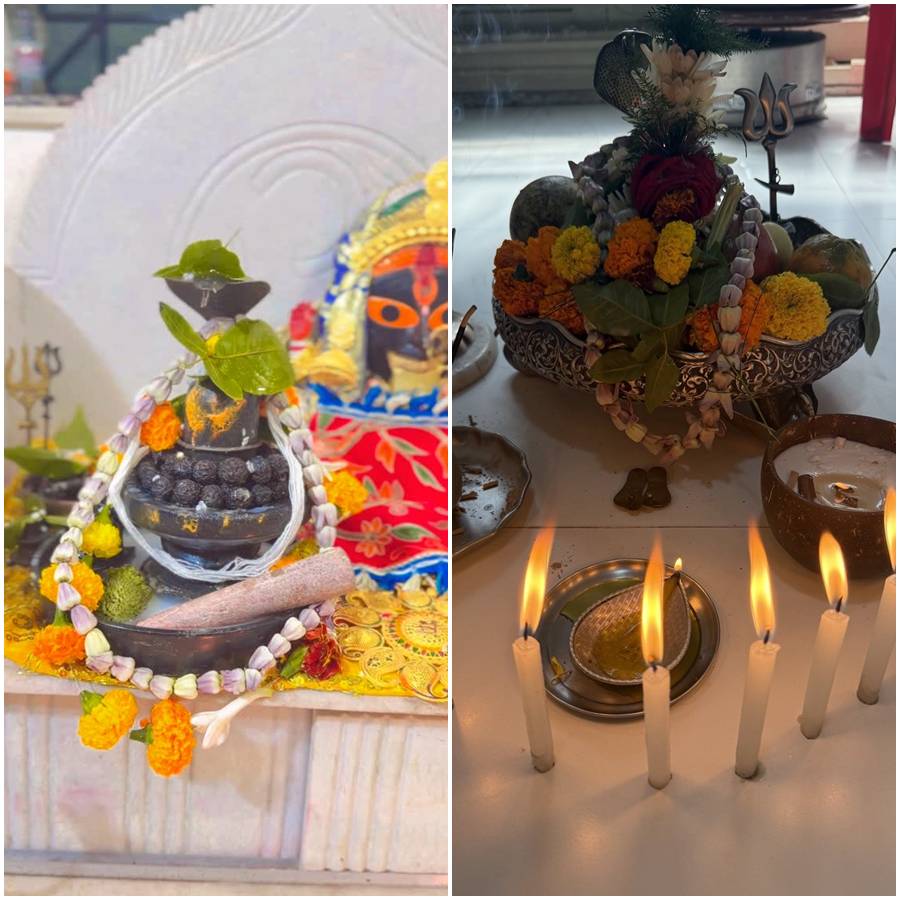 শ্রীময়ী চট্টরাজ, ডোনা গঙ্গোপাধ্যায়ের পুজো।