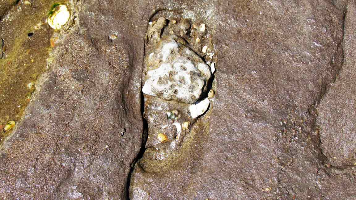 নিউ মেক্সিকোয় মরুভূমিতে পাওয়া পায়ের ছাপ।