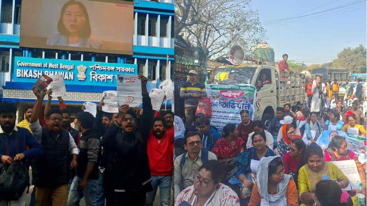 নিজস্ব চিত্র।