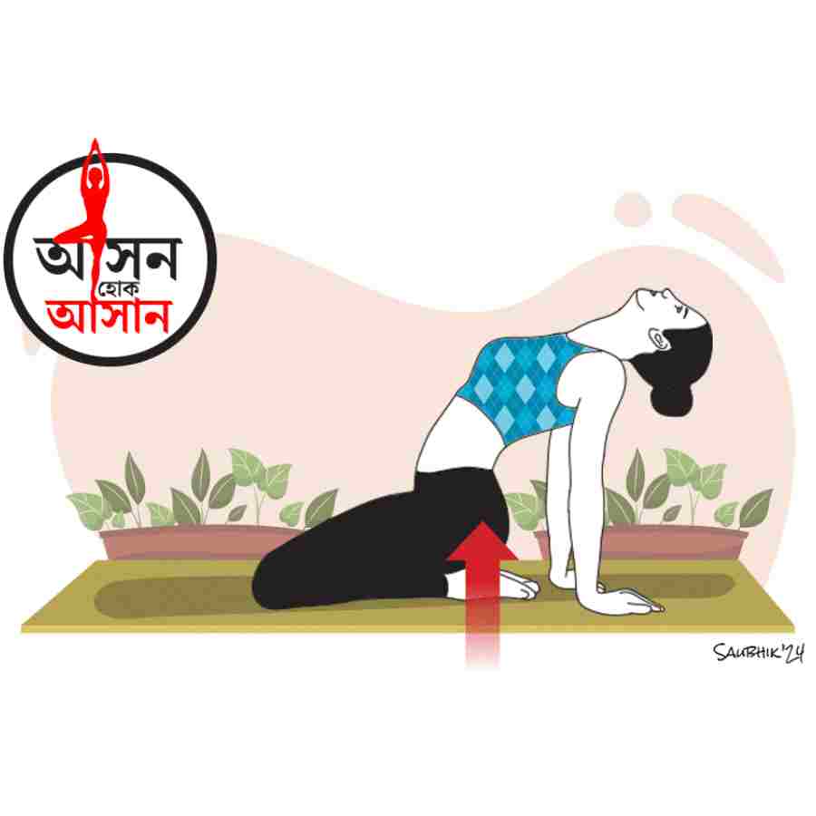 What are the health benefits of Camel pose