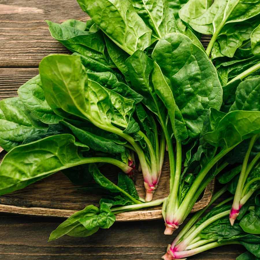 পালংশাক খাওয়ার সঠিক পদ্ধতি।