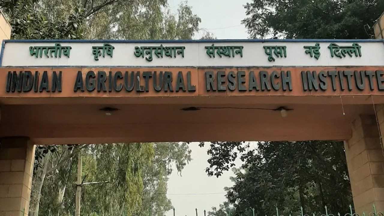 ইন্ডিয়ান এগ্রিকালচারাল রিসার্চ ইনস্টিটিউট।
