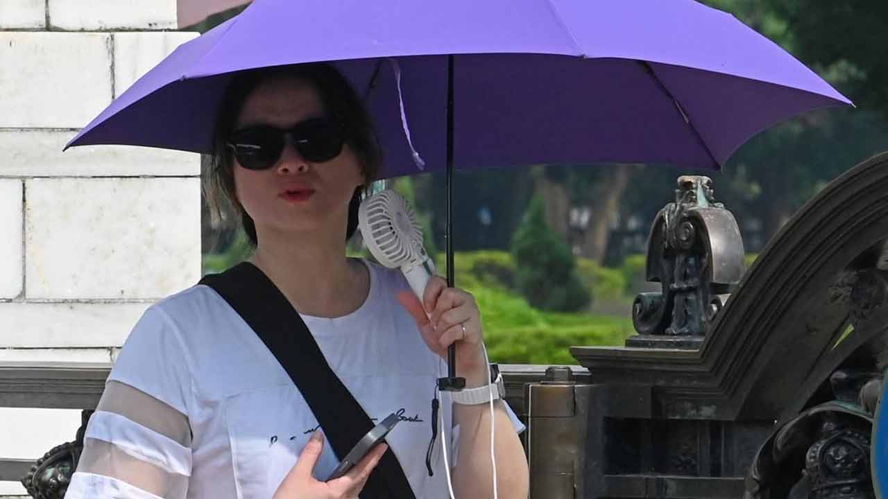 ফাল্গুনের শুরুতেই ছাতার আশ্রয়ে।