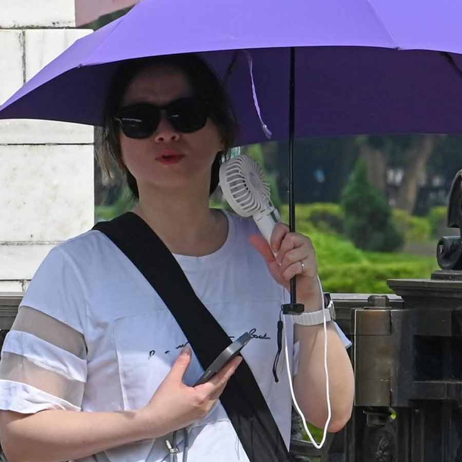 ফাল্গুনের শুরুতেই ছাতার আশ্রয়ে।