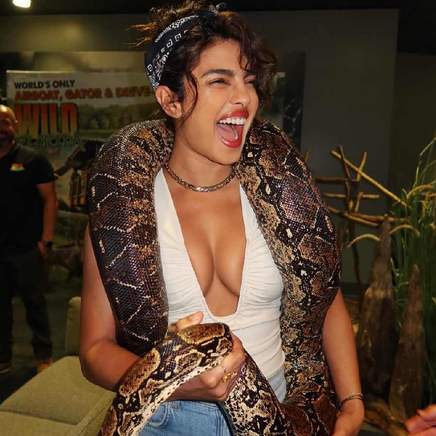 Priyanka Chopra Jonas