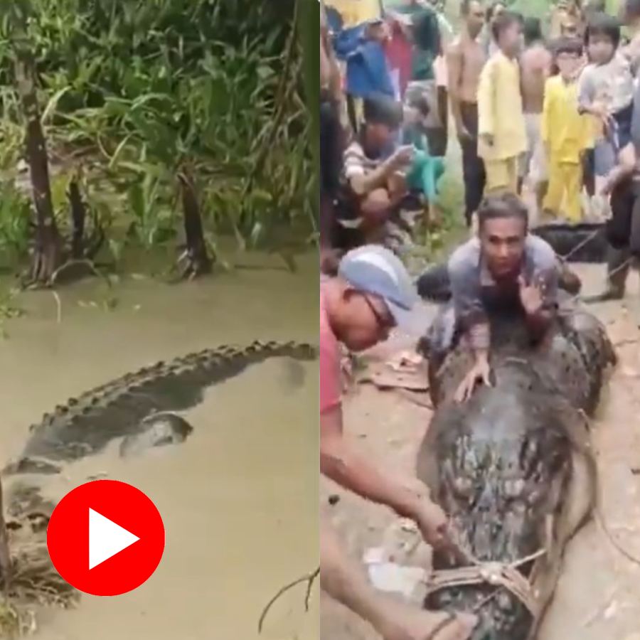 Video shows crocodile kills Indonesian woman in river, locals retaliate after body surfaces