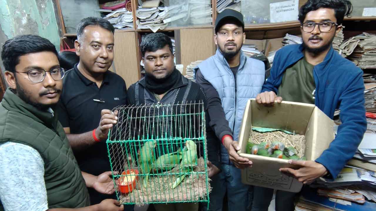 15 Alexandrine parakeets seized from a house in Uluberia of Howrah District