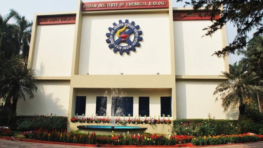 CSIR_IICB