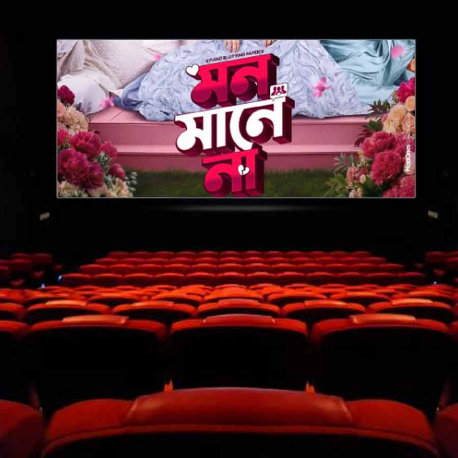 হলমালিকেরা কি বিপদে পড়েছেন?