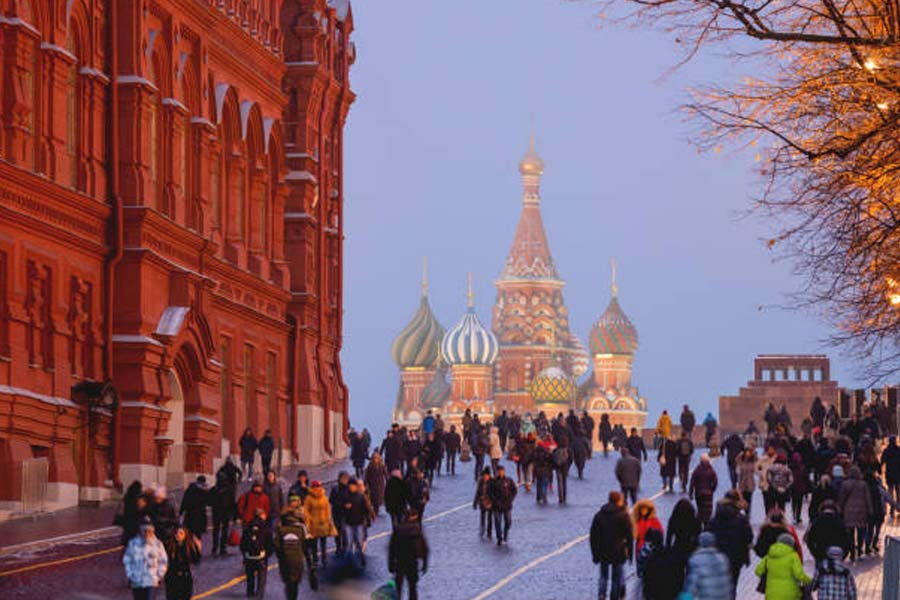 Prices of Cucumbers Soar in Russia