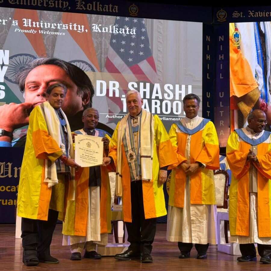 নিজস্ব চিত্র।