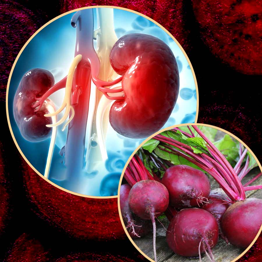 কিডনির সমস্যায় কী ভাবে বিট খাওয়া যায়?