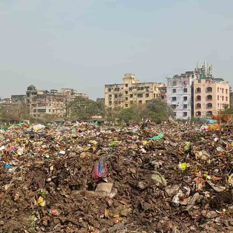 লিলুয়া রেল ইয়ার্ড সংলগ্ন অঞ্চল যেন আবর্জনা স্তূপ। 