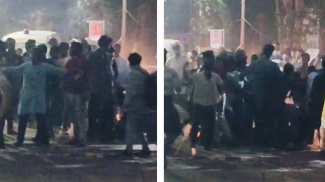 নিজস্ব চিত্র।