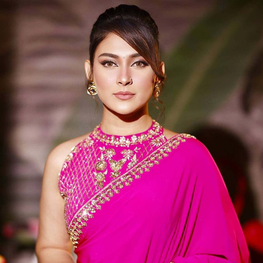 কী ঘটল মেহজ়বীন চৌধুরীর সঙ্গে?