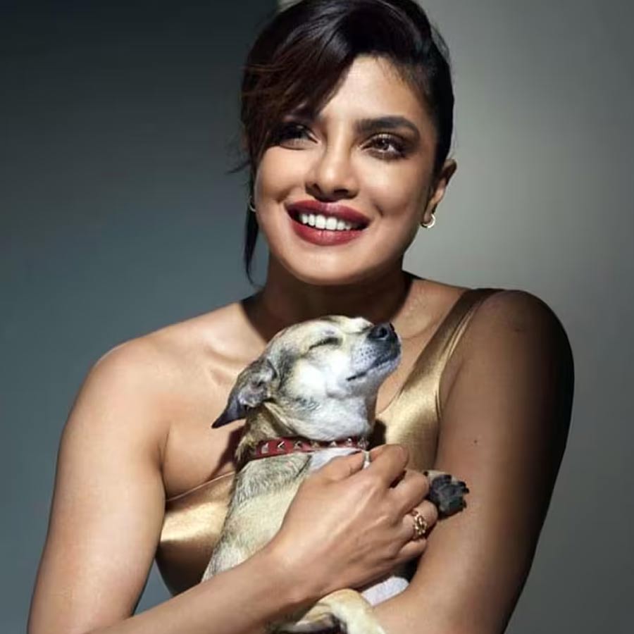 প্রিয়ঙ্কা চোপড়া জোনাস ও ডায়না।