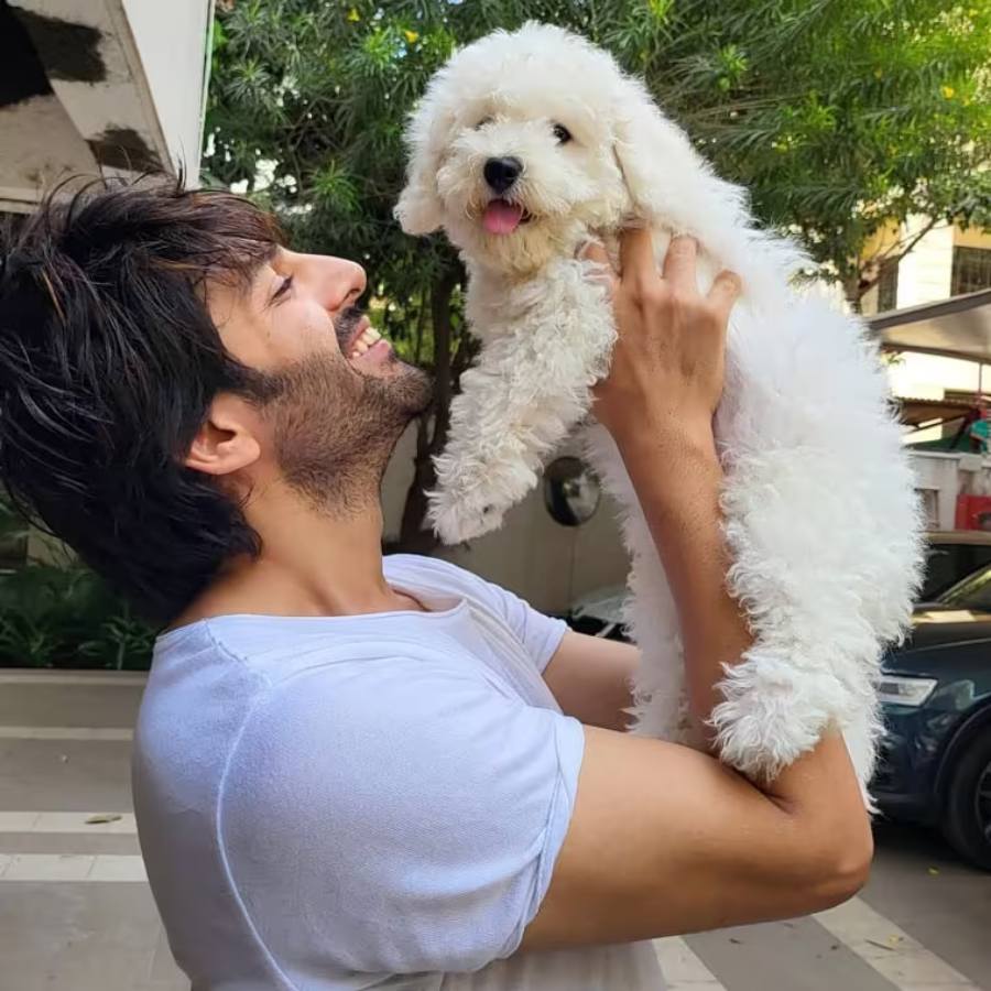 কার্তিক আরিয়ান ও কটৌরি।