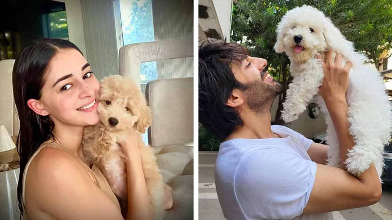 বলিউড তারকাদের পোষ্যপ্রেম।