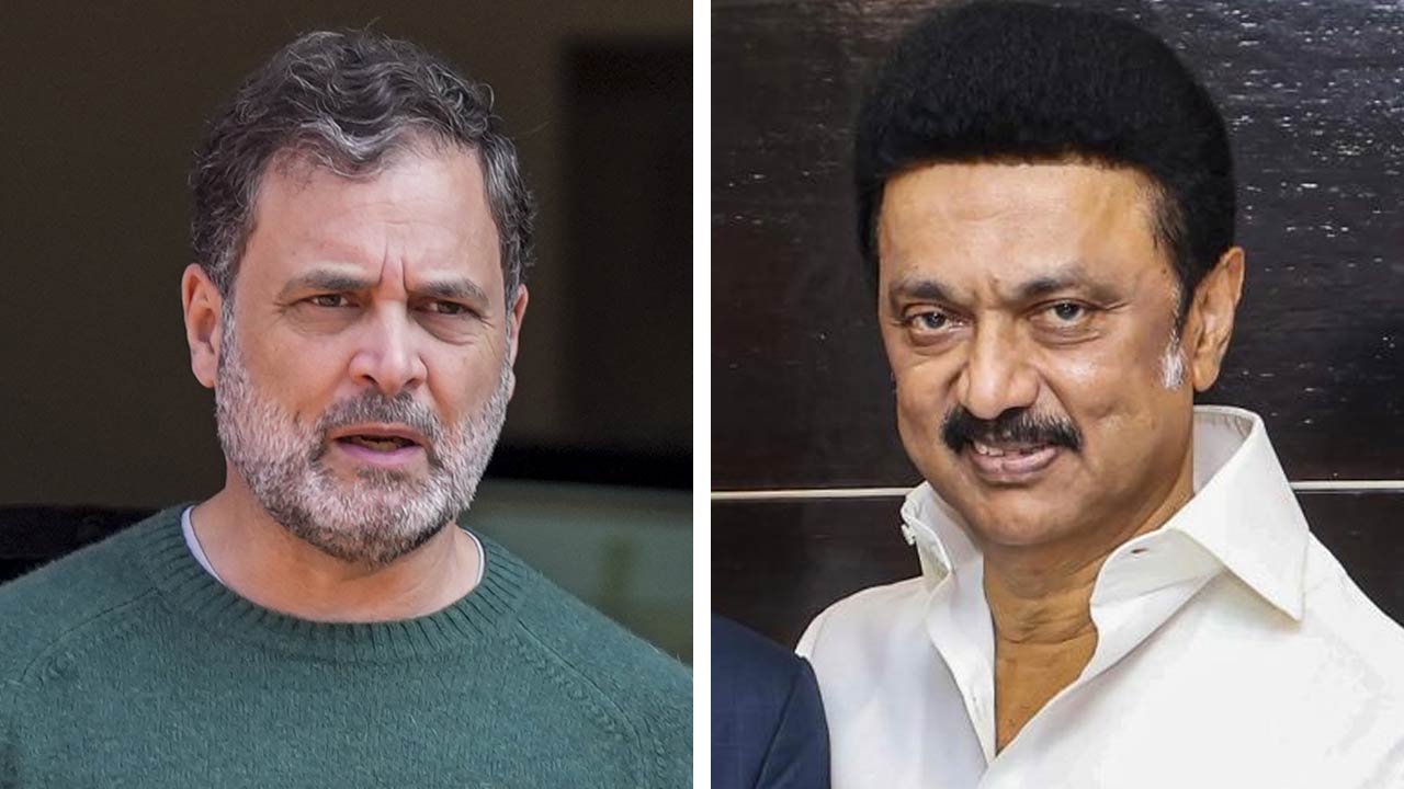 (বাঁ দিকে) কংগ্রেস নেতা তথা লোকসভার বিরোধী দলনেতা রাহুল গান্ধী এবং তামিলনাড়ুর মুখ্যমন্ত্রী তথা ডিএমকে প্রধান এমকে স্ট্যালিন (ডান দিকে)।