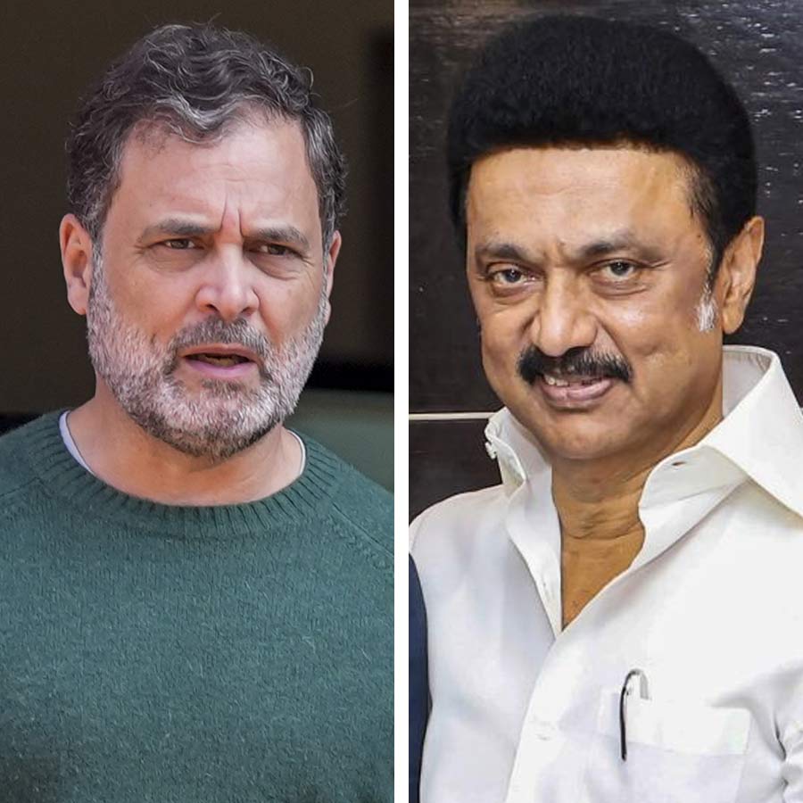 MK Stalin should lead Opposition Alliance INDIA, claims his son Udaynidhi Stalin dgtl