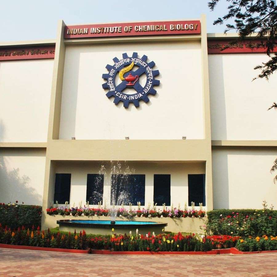 CSIR is looking for retired employees in Consultant role at Indian Institute of Chemical Biology Dgtl
