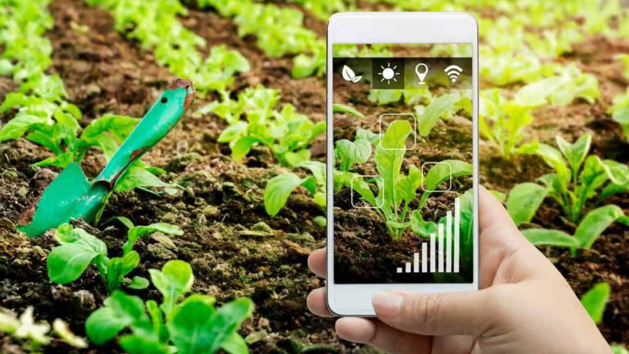 বিনা পরিশ্রমেই তরতাজা বাগান