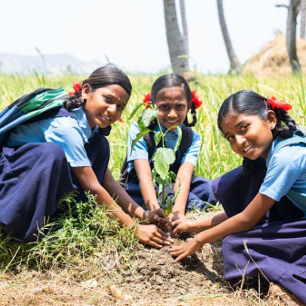 WBCHSE introduces new afforestation idea for students, they will name saplings after their loved ones  dgtl