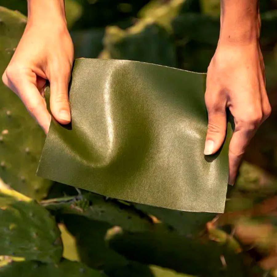 শখের ব্যাগের ‘চামড়া’ কি দূষণের কাণ্ডারী?