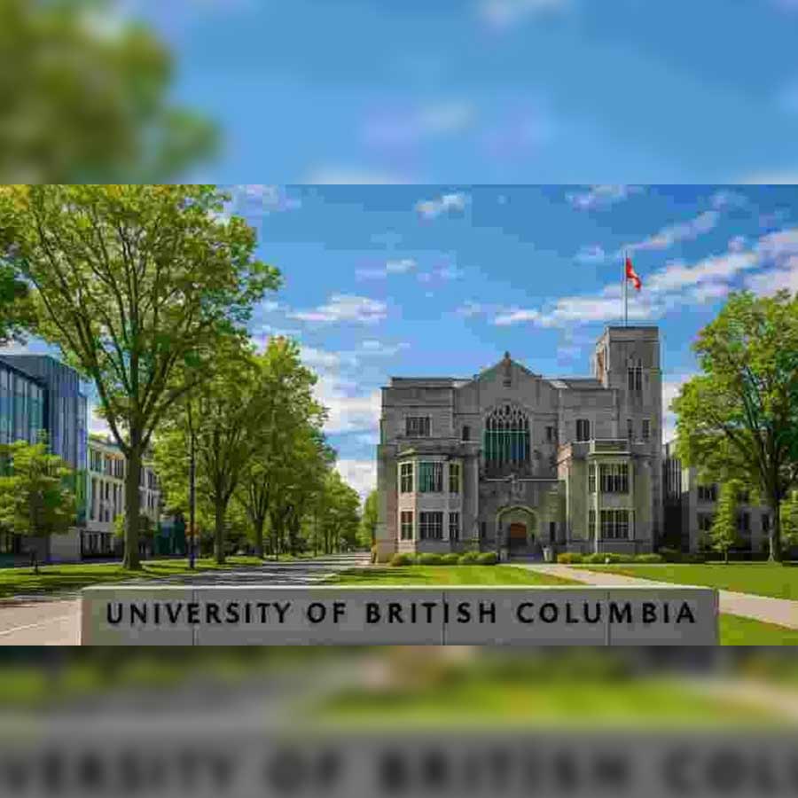 Elisa lam Death Mystery 