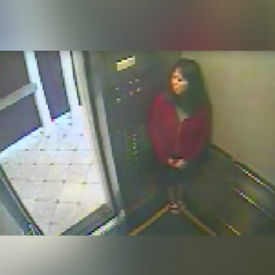 Elisa lam Death Mystery 