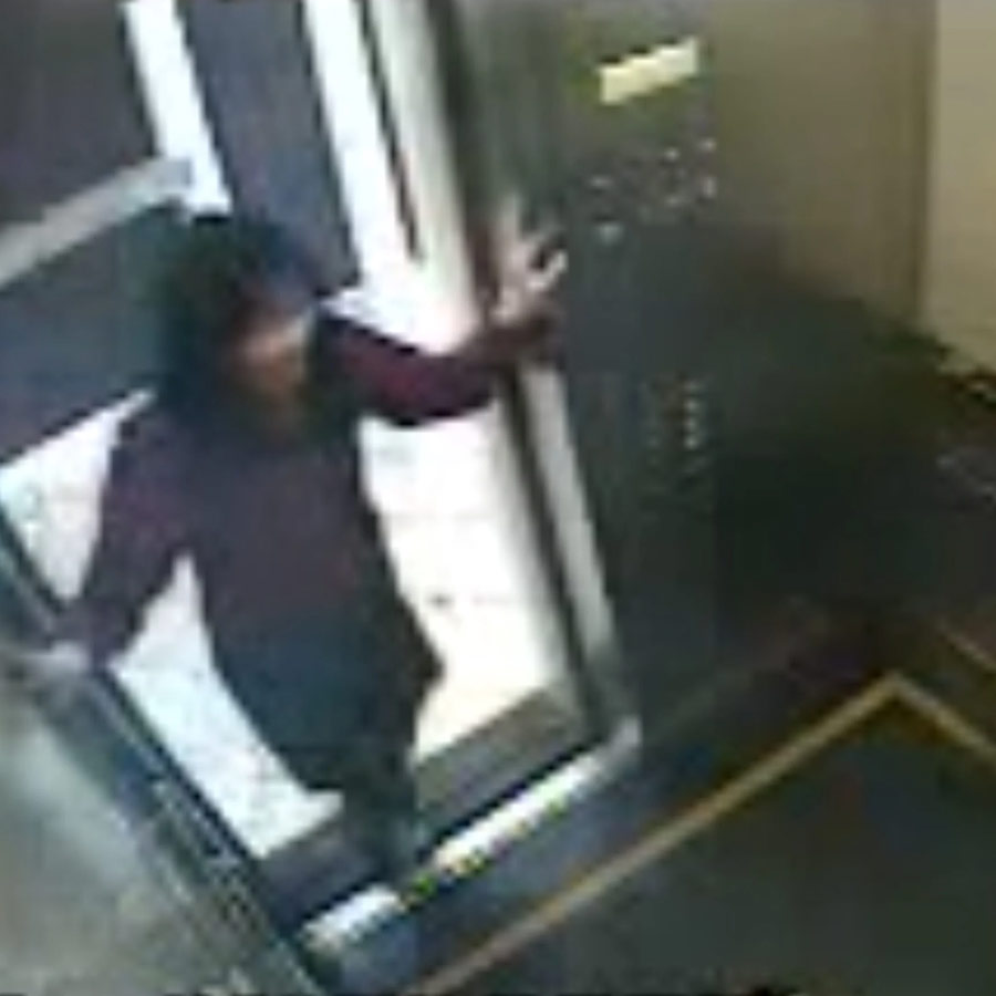 Elisa lam Death Mystery 