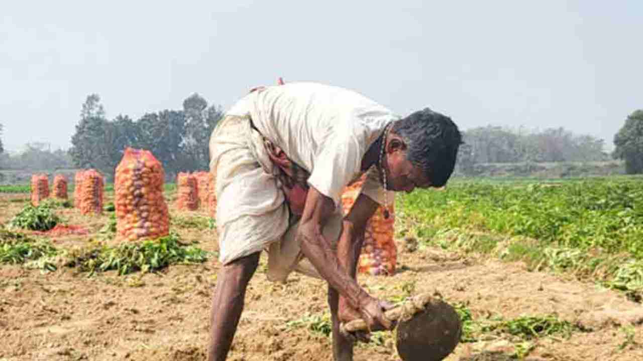 Relief for potato farmers ahead of assembly polls, State announces support price of rupees a9.50 per kg