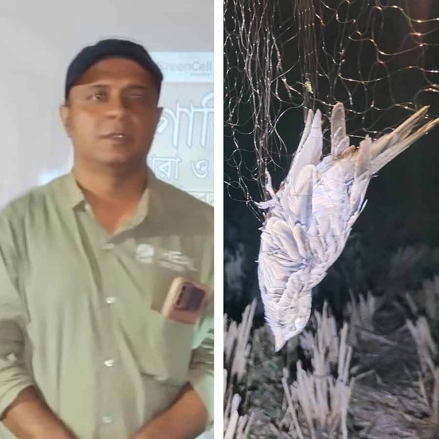 পরিযায়ী পখি শিকার করা আটকাতে সচেতনতা।