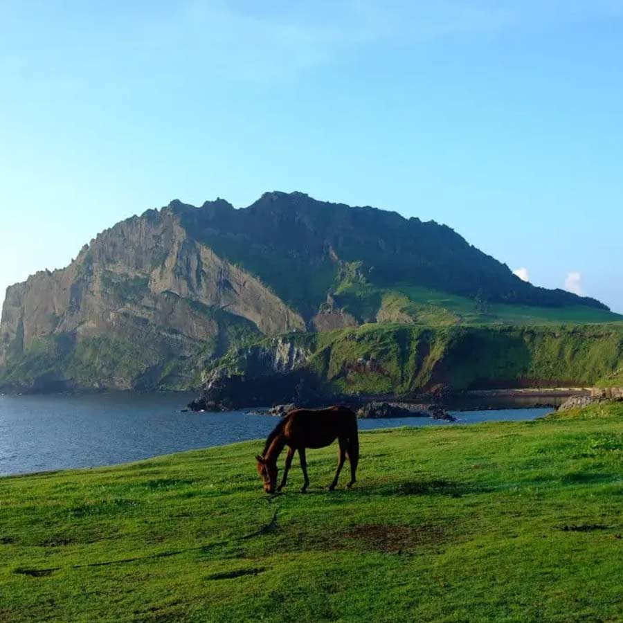 Jeju Island