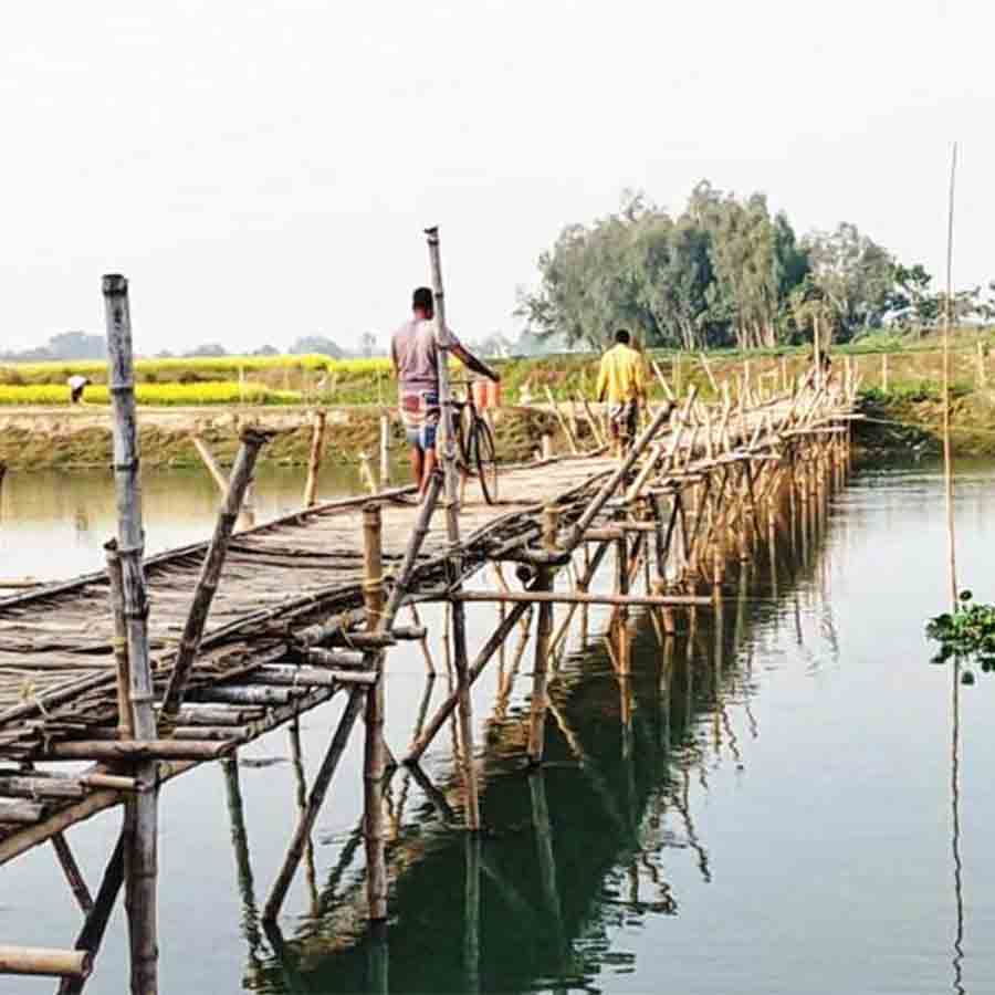 মহানন্দা নদী পেরোতে ভরসা এই বাঁশের মাচা। চাঁচলের খিদিরপুরে এখানেই সেতুর দাবি।