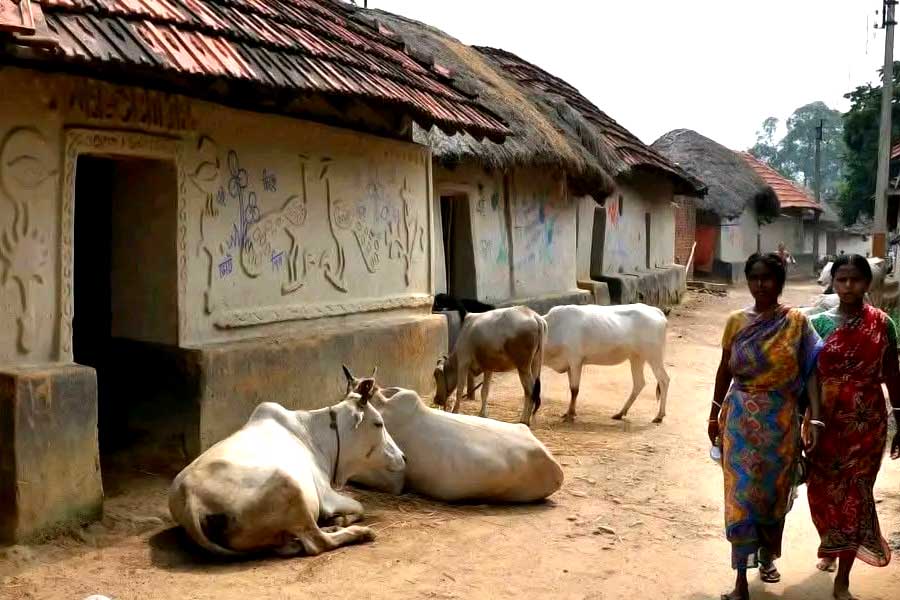 শিউলিবনার আশপাশে পাবেন এমন অনেক মাটির বাড়ি, যার দেওয়ালে আছে কারুকাজ।