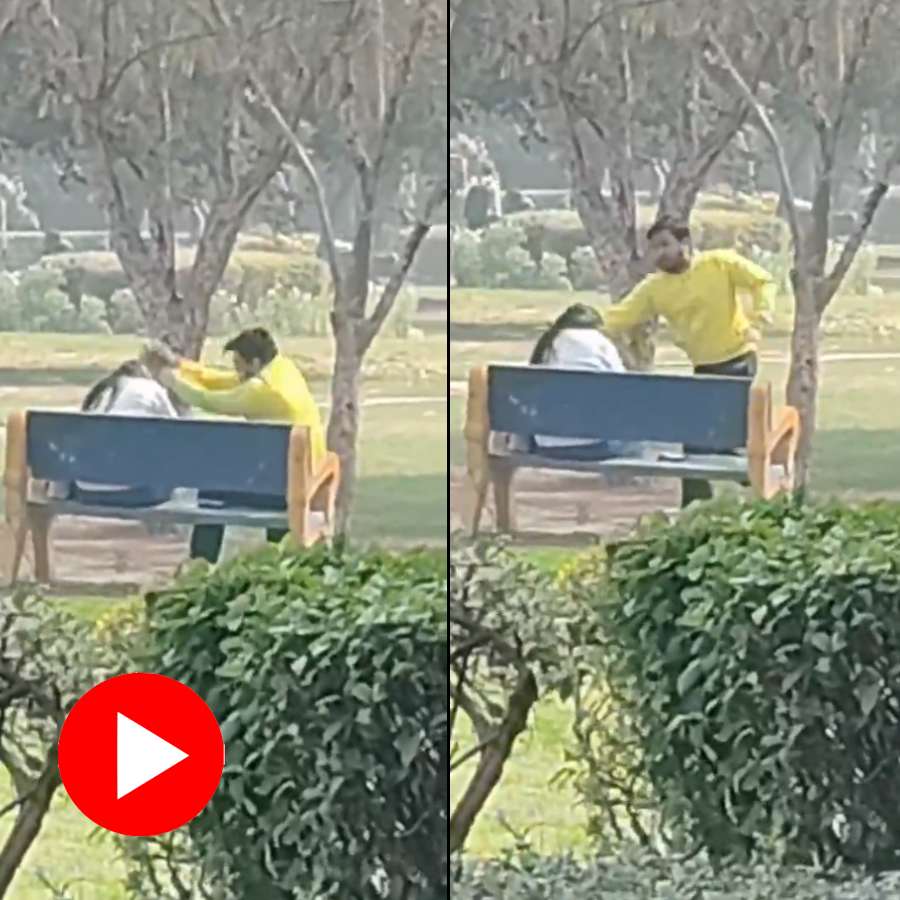 Video shows man does bizarre thing with girlfriend in park, Internet reacts