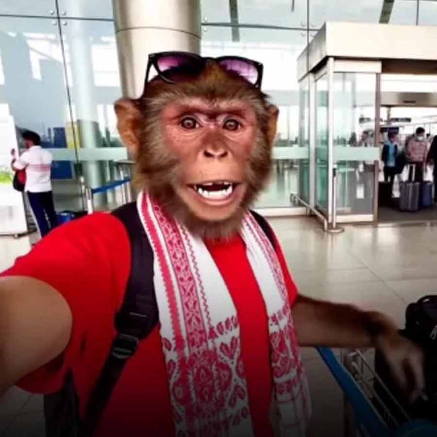 India’s AI slop Youtube channel Bandar Apna Dost is most viewed AI Video channel, making around 35 crore in year, says report