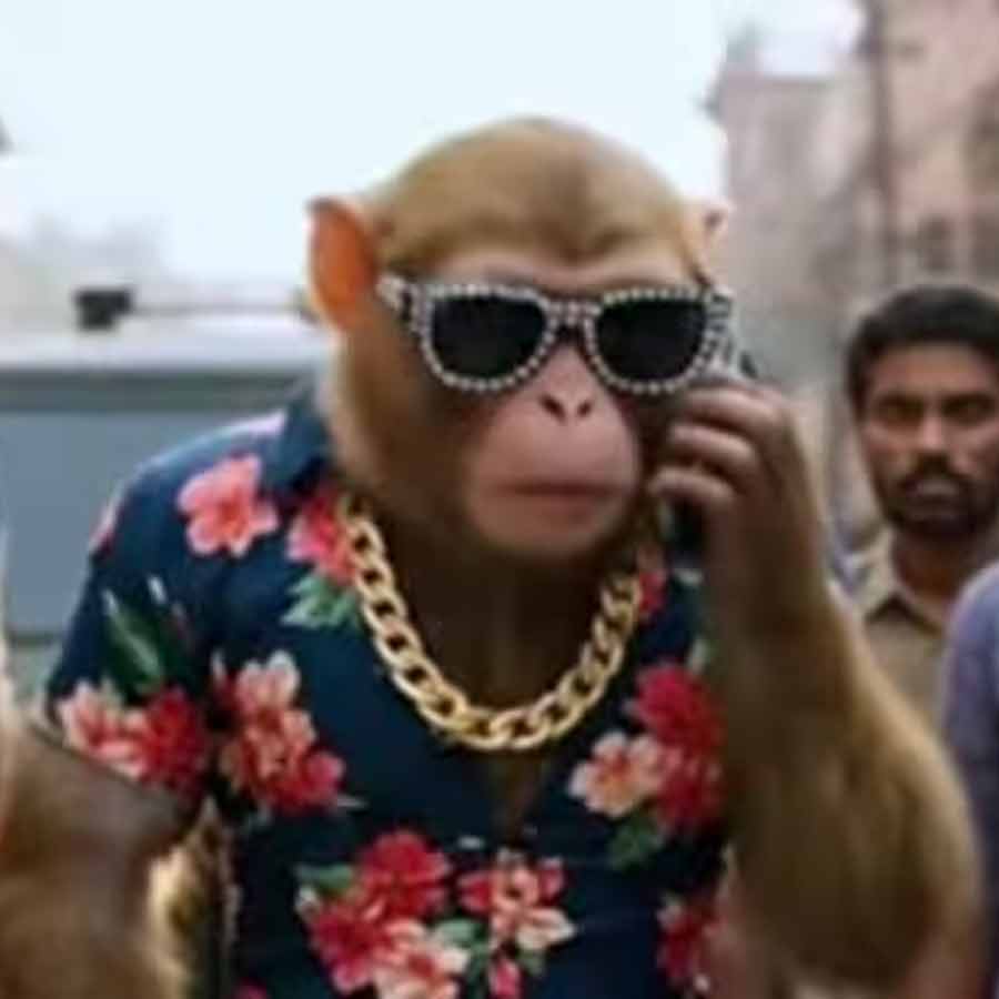 India’s AI slop Youtube channel Bandar Apna Dost is most viewed AI Video channel, making around 35 crore in year, says report