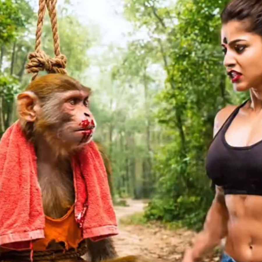 India’s AI slop Youtube channel Bandar Apna Dost is most viewed AI Video channel, making around 35 crore in year, says report