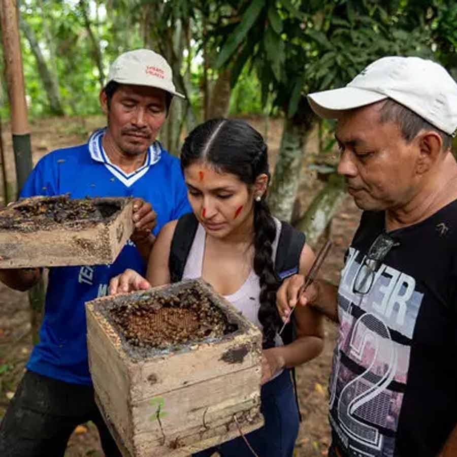 legal rights of insects in Peru