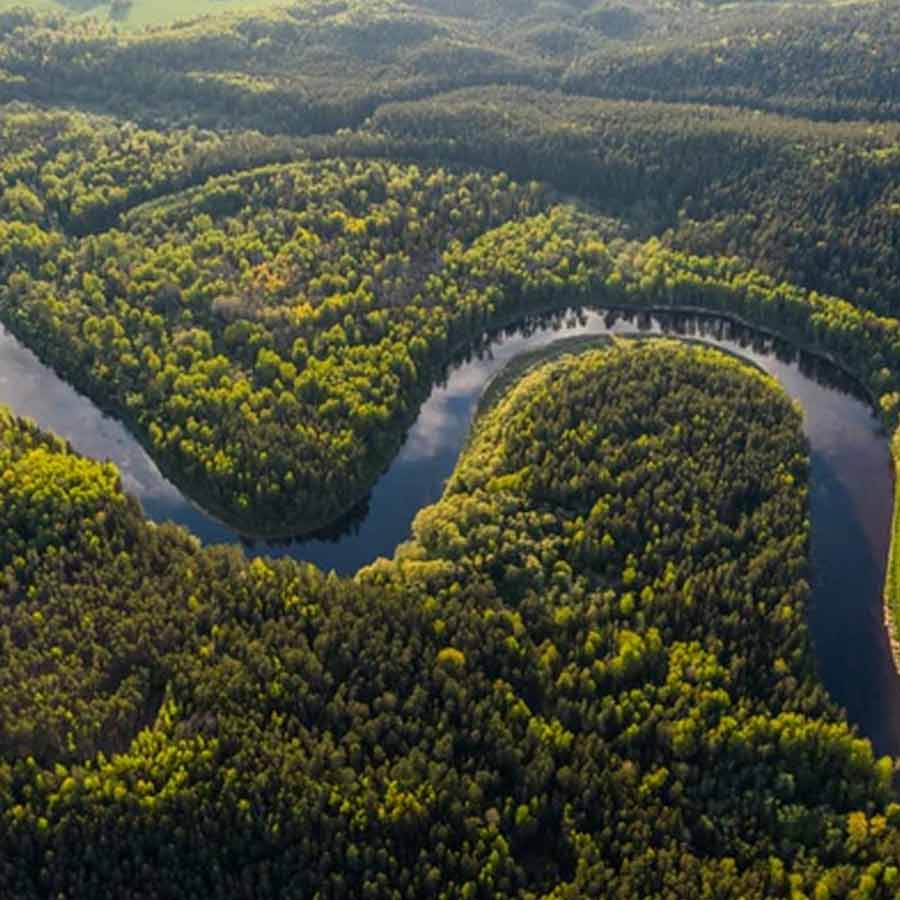 legal rights of insects in Peru