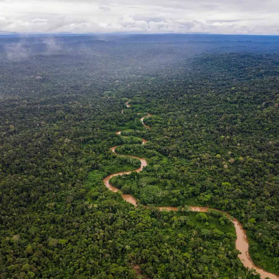 legal rights of insects in Peru