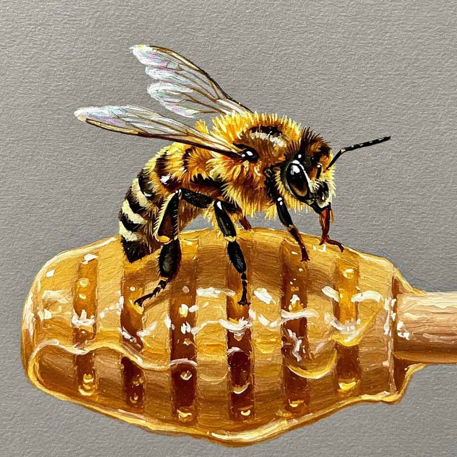 legal rights of insects in Peru