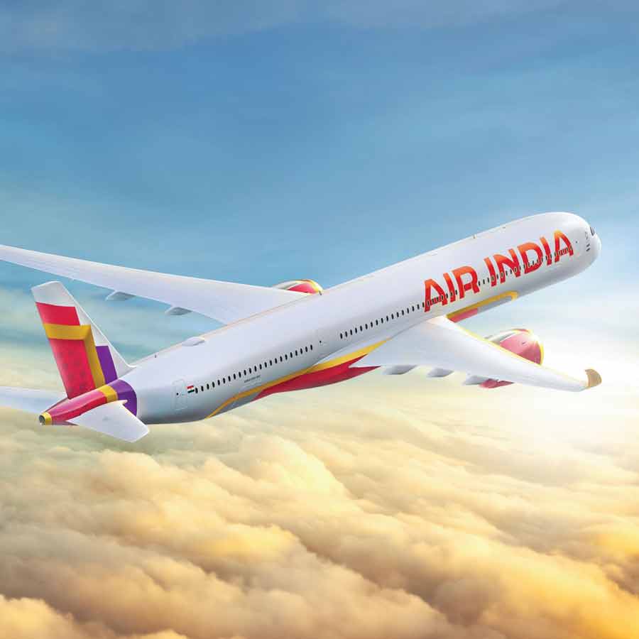এয়ার ইন্ডিয়ার বিমান।