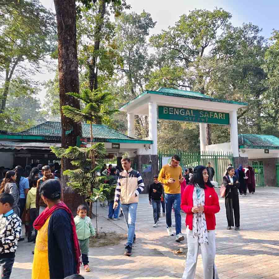 বেঙ্গল সাফারি পার্কে পর্যটকদের ভিড়।