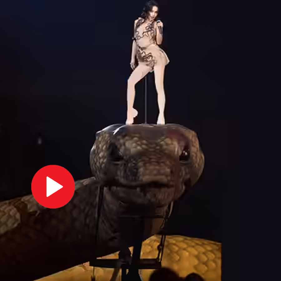 Video shows Taiwanese singer enters stage by dancing on top of a 30-meter-long snake structure