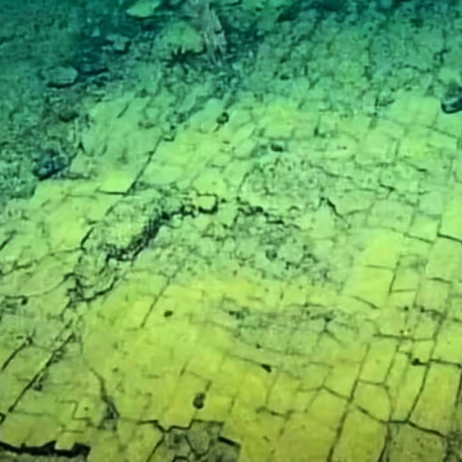 Road made of Brick-Like Yellow structure found on Pacific Ocean floor in 2022 and stunned scientist