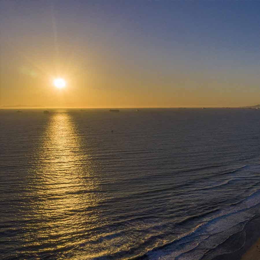 Road made of Brick-Like Yellow structure found on Pacific Ocean floor in 2022 and stunned scientist